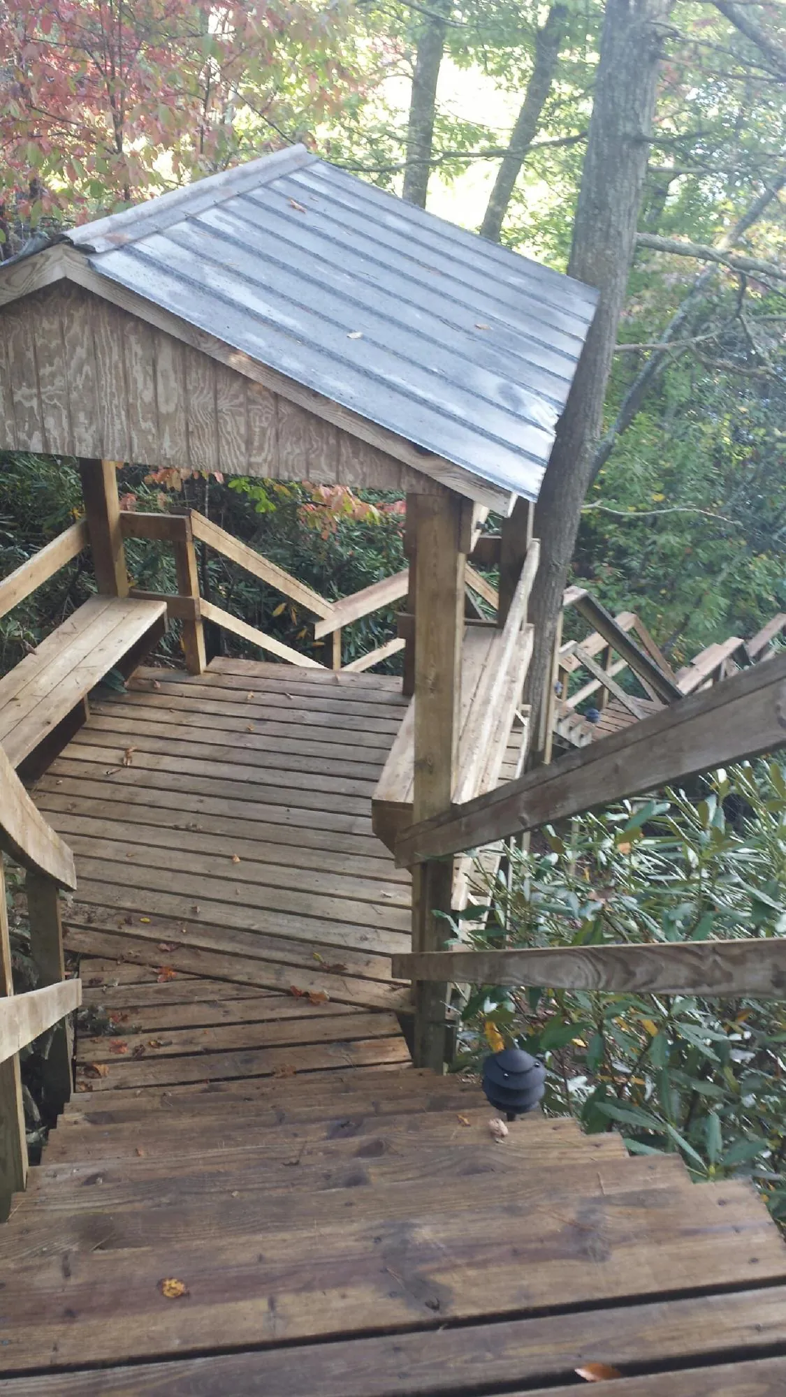 Metal roofed shelter over wooden steps on a wooded walkway — Skylight Repair & Installation work by our crew in Rincon